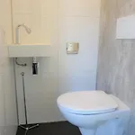 Moderne Vakantiewoning Op De Veluwe Met Airco Parco vacanze Otterlo