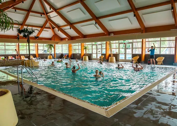 Moderne Vakantiewoning Op De Veluwe Met Airco